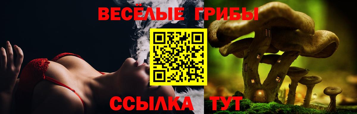 Галлюциногенные грибы мицелий Курчатов